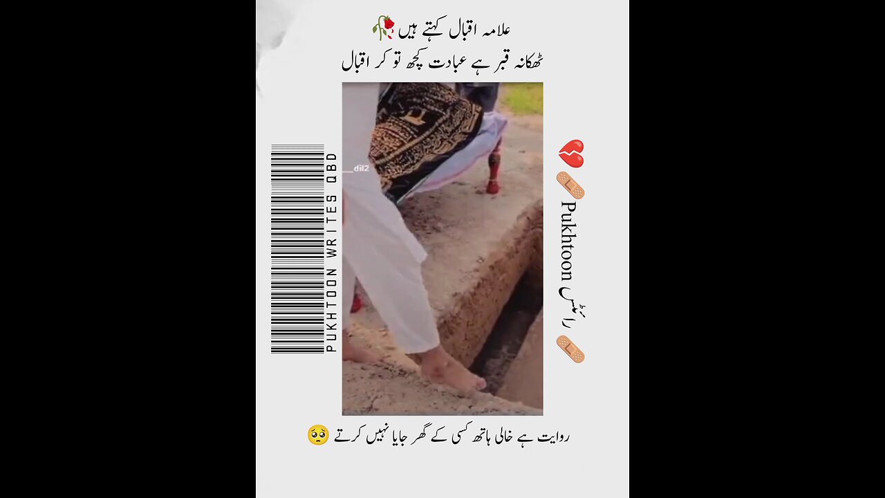 deep Two Line Poetry Status |Heart Touching Shayari status#2023 #shorts #pukhtoonwritesqbd
