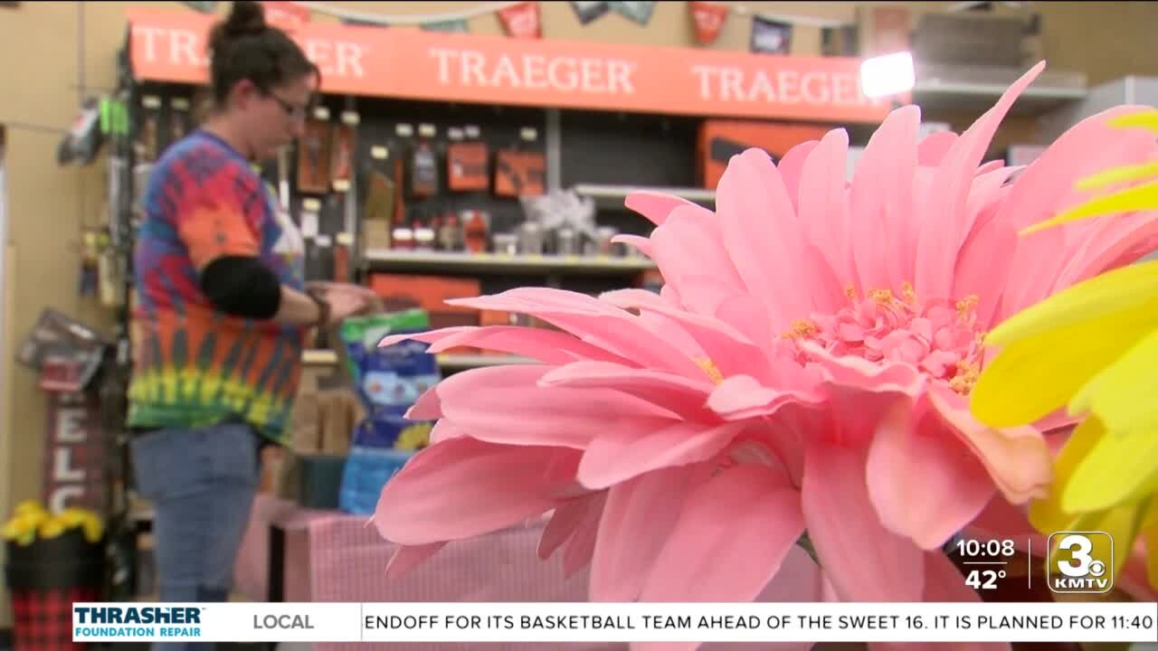 Bennington woman provides free sunflower kits to residents