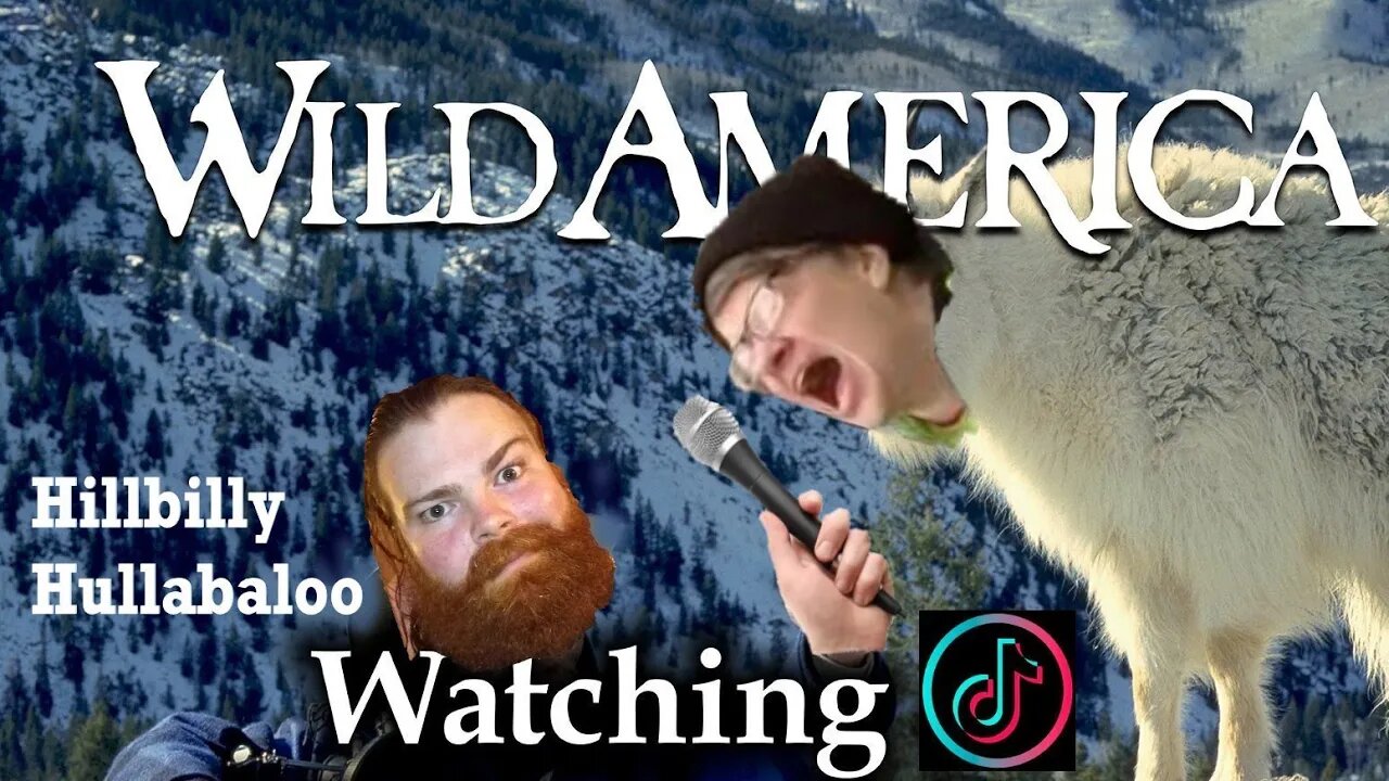 Lightish Side of TikTok 12