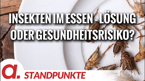 Insekten im Essen – Lösung oder Gesundheitsrisiko? | Von Felix Feistel