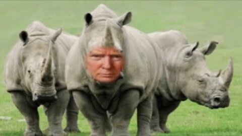 Donald Trump Endorses Rinos Meme! 🦏