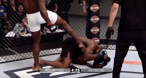 Soccer Kicks in UFC *Brutal*