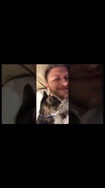 A cat trying to eat my nose