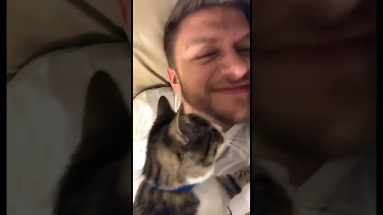 A cat trying to eat my nose