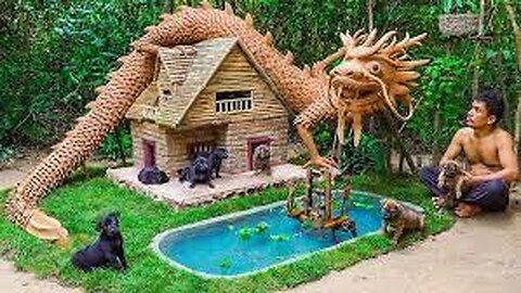 Dog rescue and build Loving Dog House - Build House for Puppies