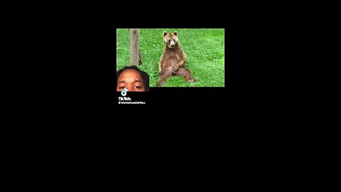 The Bear Of WW2