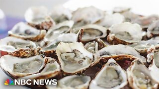 Dozens reported sick with norovirus after eating raw oysters at Los Angeles event