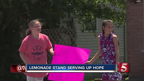 Hendersonville Girls' Lemonade Stand Gives Back