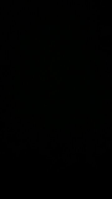 Environmental and social governance