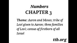 Numbers Chapter 3 (Bible Study)