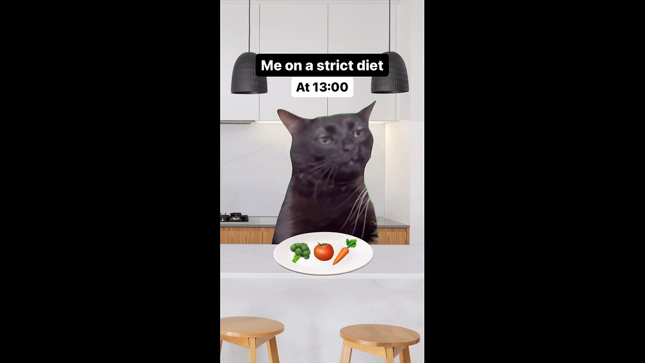 Cat memes