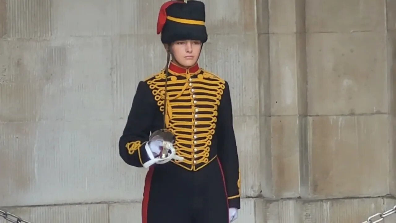 All female Guards #horseguardsparade