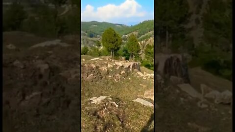 #villagelife#subscribe #short #beautiful#youtubeshorts#youtube #pakistan#mountains#greenery