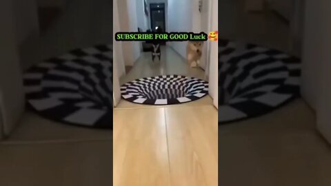 #drivingfails #shorts