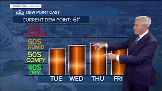 Tuesday is damp and cloudy with highs in the 60s