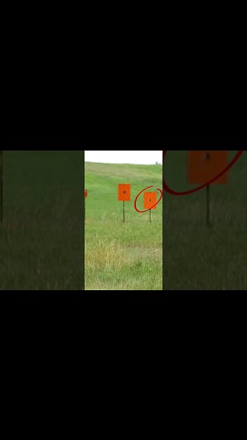 Dagger shot by JD @30 yds W/Sig P365. #shorts