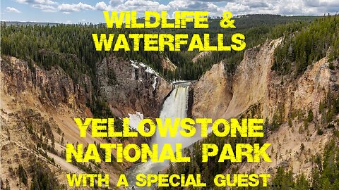 Yellowstone Wildlife & Waterfalls