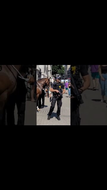 Armed police #horseguardsparade