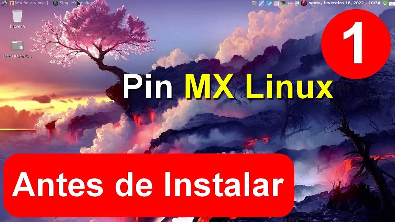 1- Pin Linux OS - Considerações Iniciais antes de Instalar Dual Boot com Windows