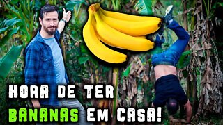 Como plantar uma bananeira? FORMA FÁCIL! - Chácara SV