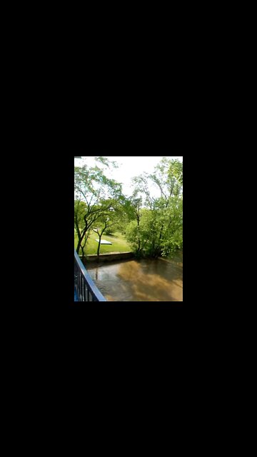 Toledo's Highland Park, view of Swan Creek from the foot bridge.