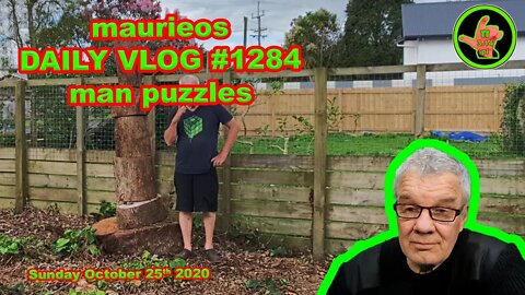 maurieos DAILY VLOG #1284 man puzzles