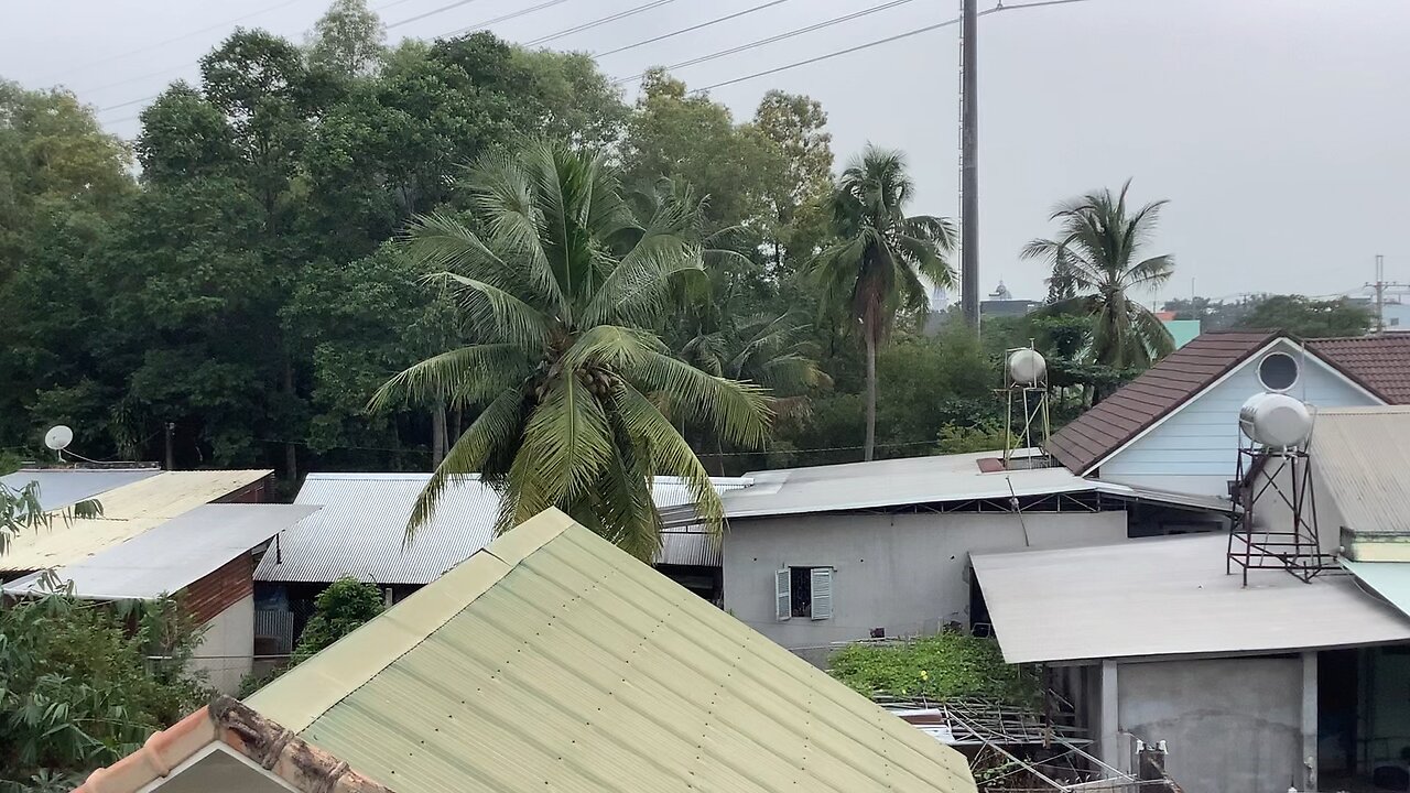 Beautifully scenery of my hometown -Cảnh đẹp quê tui.