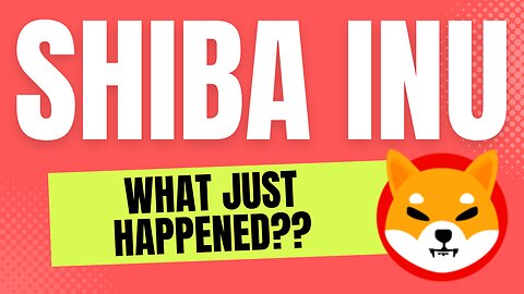 WHAT JUST HAPPENED TO SHIBA INU Wolf Of YouTube Reaction Video