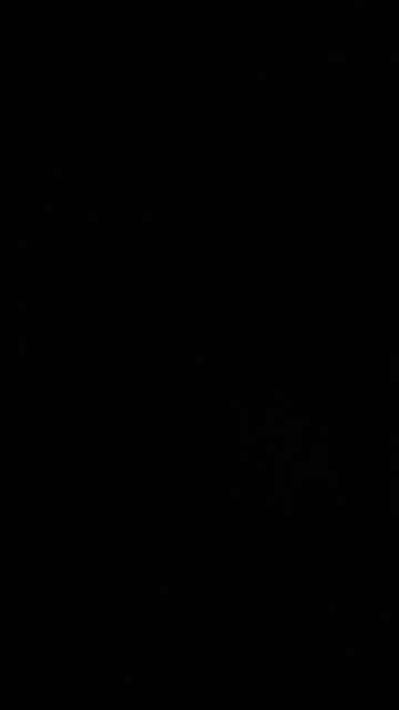 NBA stands for national basketball Association