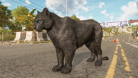 far cry 6: how to get the best partner, oluso black panther