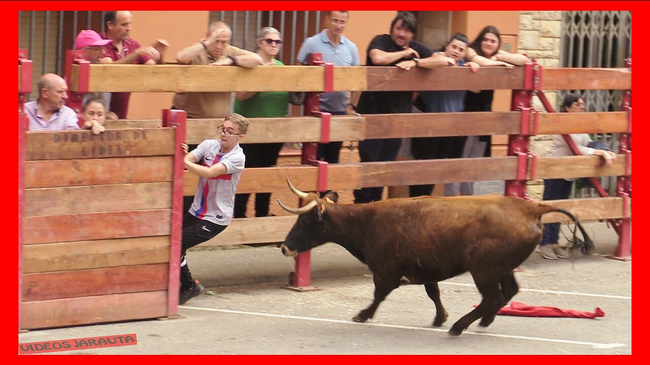 CABANILLAS ( NAVARRA ) TARDE VACAS CALLE ( SABADO 3 JUNIO 2023 ) GANAD.P.DOMINGUEZ