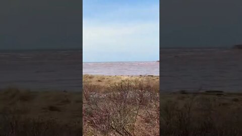 Adventuring to a beach in Canada