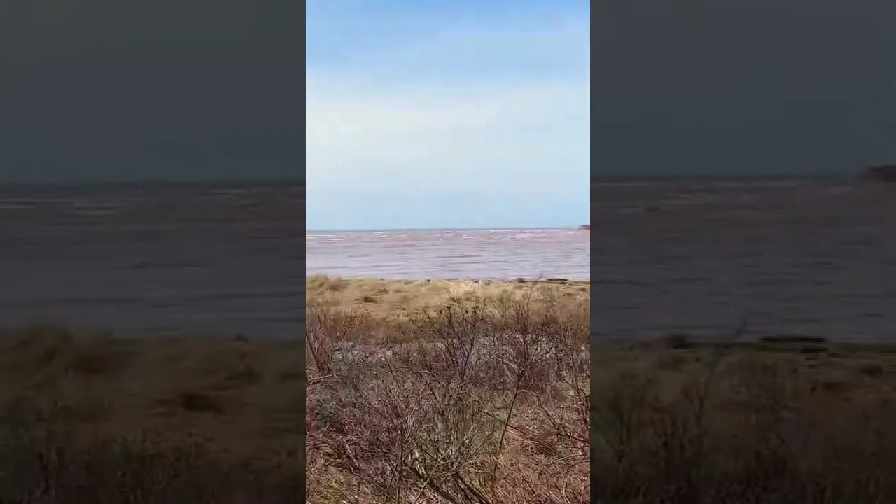 Adventuring to a beach in Canada