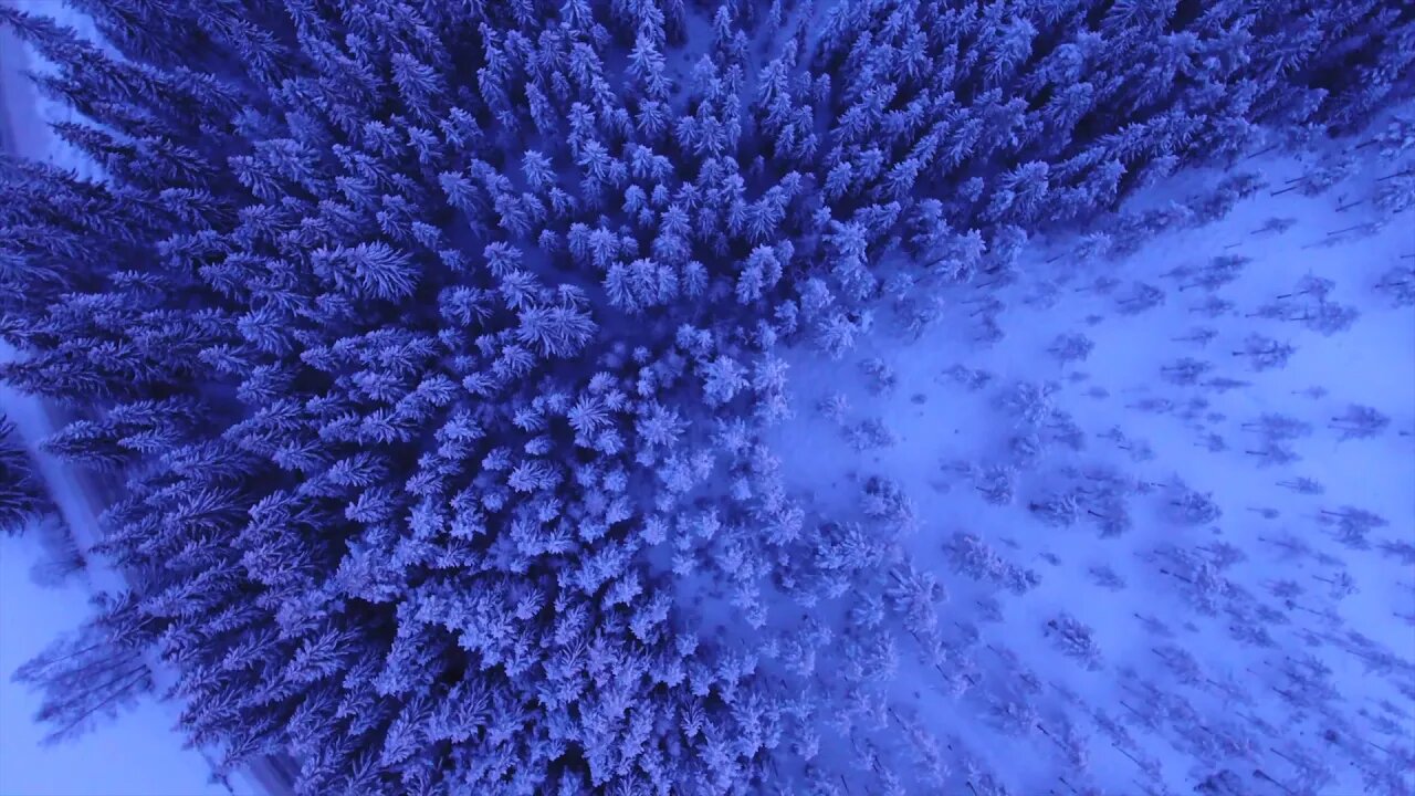 "Ethereal" (Music Video) ~ Randy Reisig