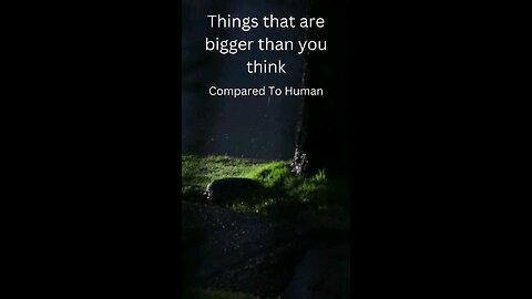 Things that are bigger than you think