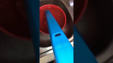 #shorts #2022 funny,prank,funjokes,dad jokes,funny memes,funny video,fun,laughing,funny animal,knock