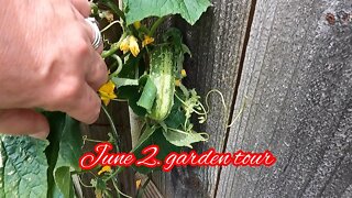 Garden Tour June 2nd 2022 #GardenTour￼