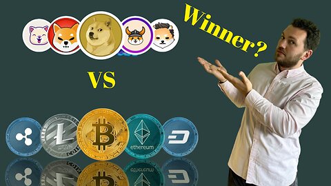 Who Is Going To Win In 2023? Meme Coin VS Blue-Chip!