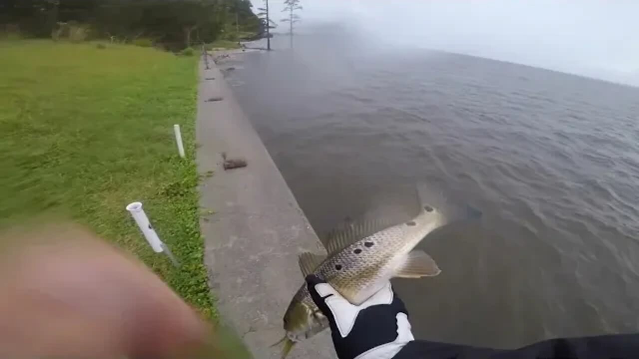 River fishing between rain showers - September 2022