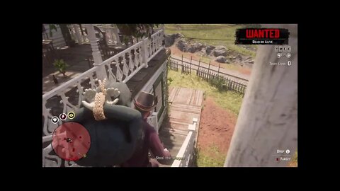 Rdr2 online with my wife