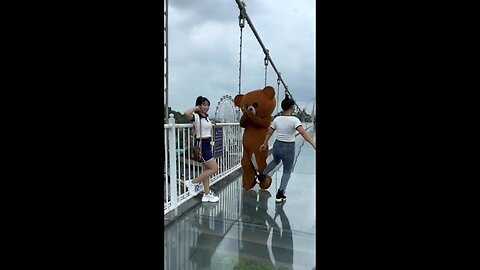 Funny video | Funny Bear 😂😂😂