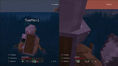 Playing MINECRAFT with my brother and surviving many days in survival mode. PART I