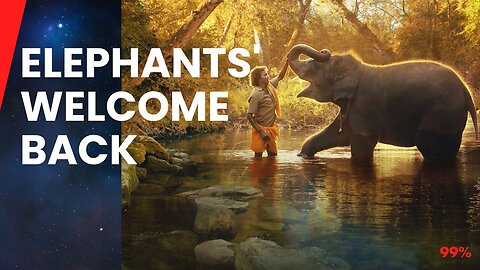 Joyful Reunion: Elephants Rush to Greet Long-Lost Friend!