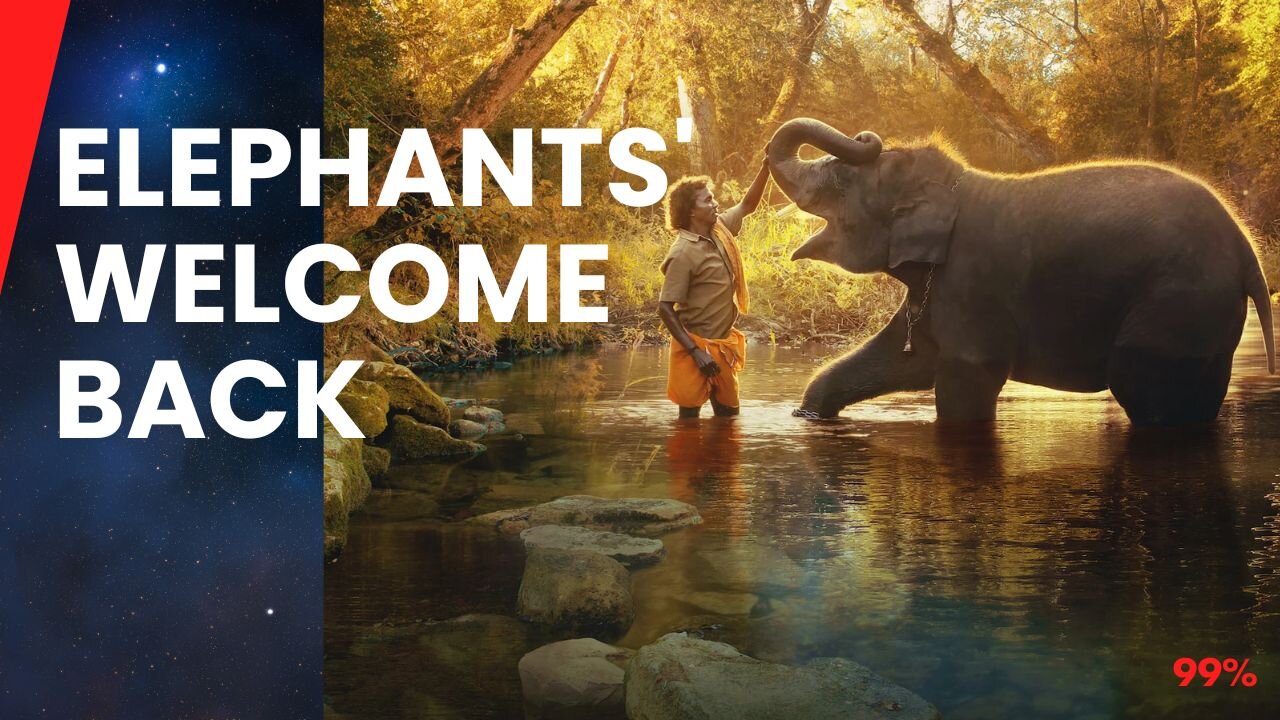 Joyful Reunion: Elephants Rush to Greet Long-Lost Friend!
