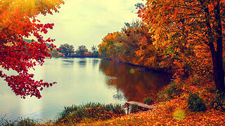 Calming Piano Music
