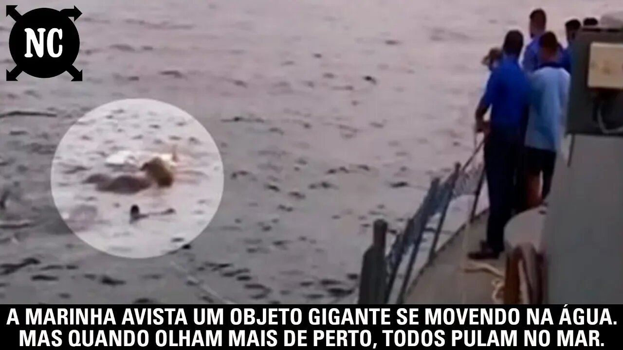 A marinha avista um objeto gigante se movendo na água. Mas quando olham mais de perto...