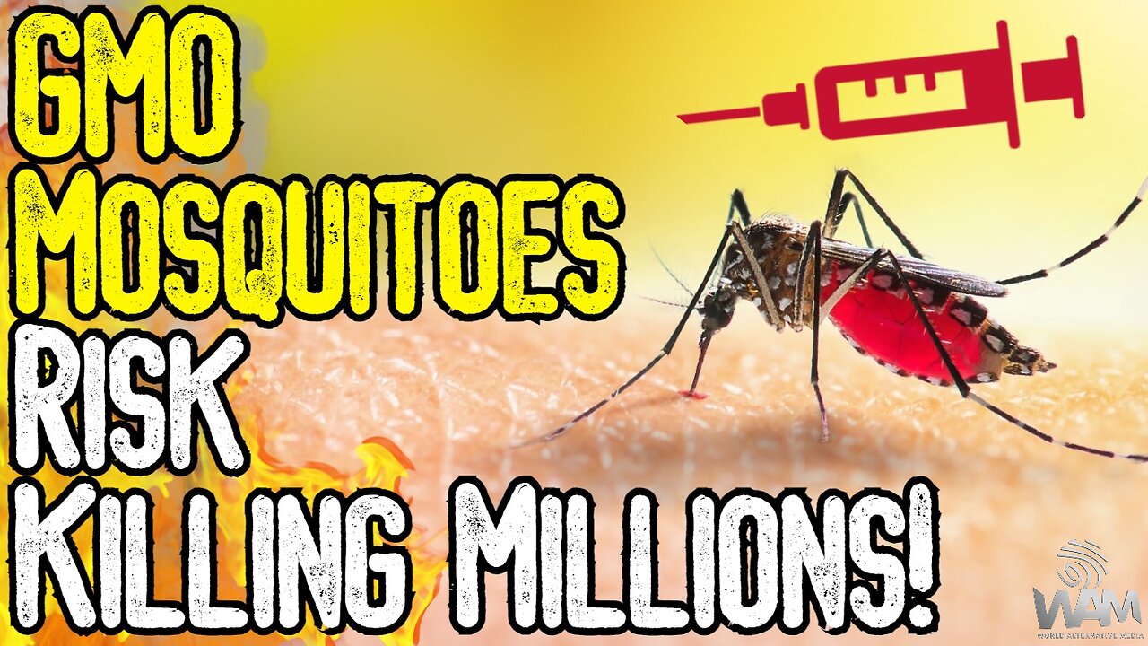 BREAKING: GMO MOSQUITOES RISK KILLING MILLIONS! - Both U.S. & UK Face New Deadly Diseases!