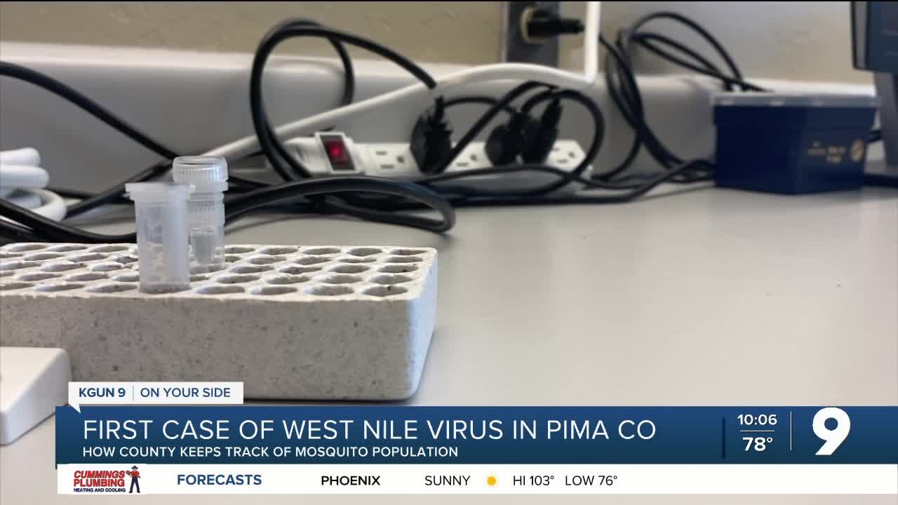 Pima County reports first case of West Nile Virus