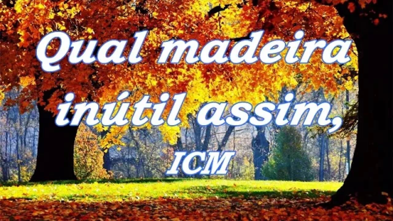 Qual madeira inútil assim - ICM