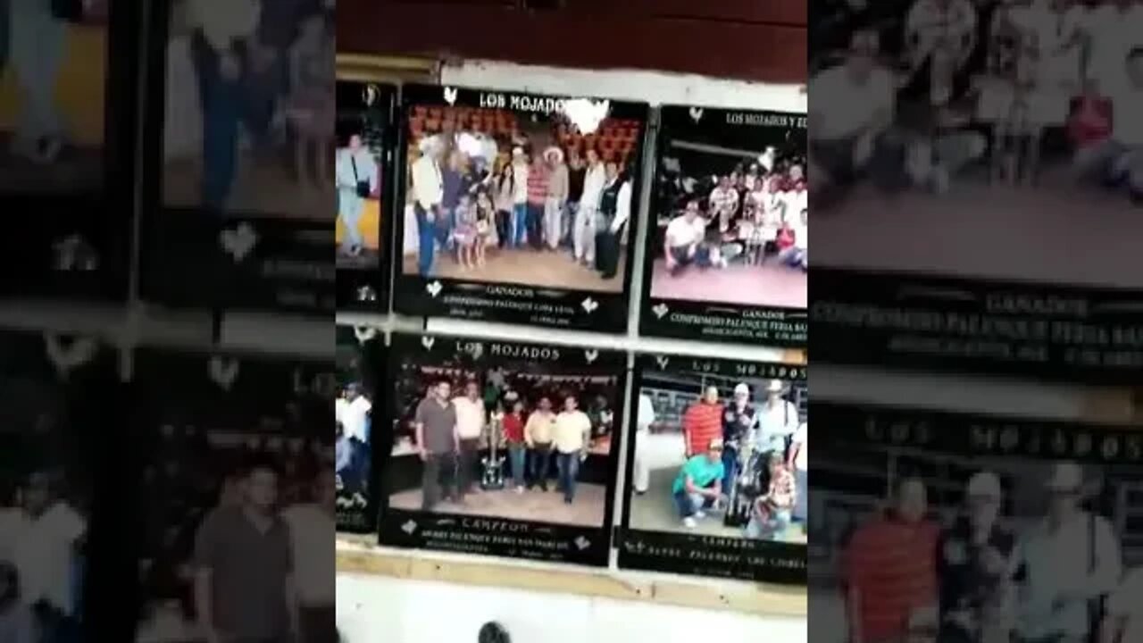 Wall of Fame